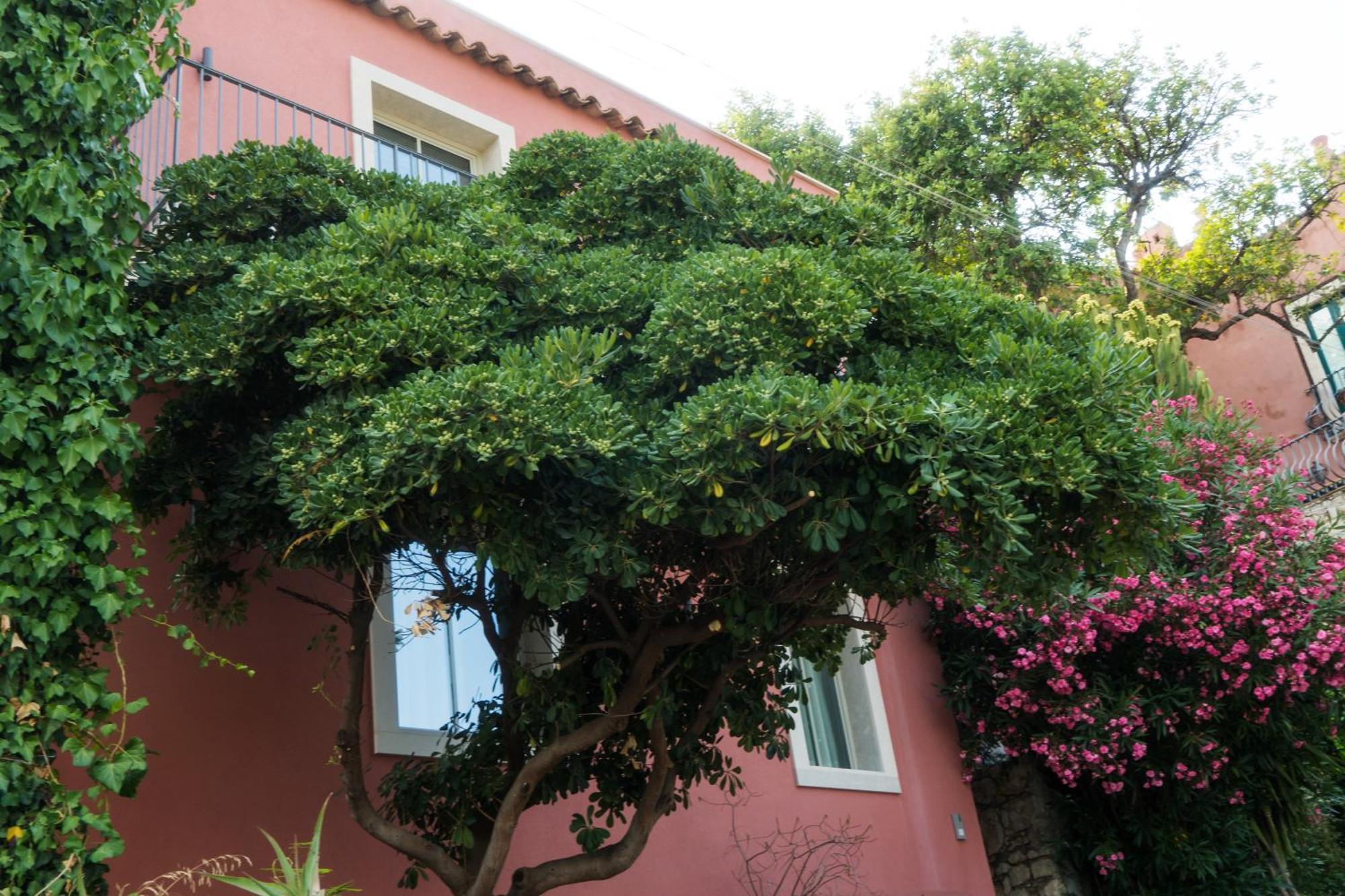 The Charming House Appartement Taormina Buitenkant foto